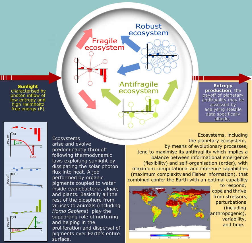 Planetary Antifragility